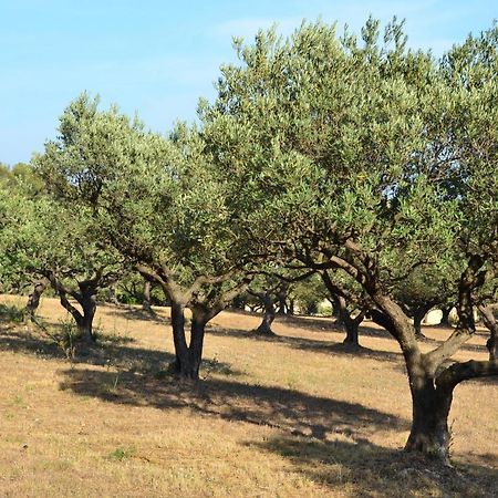 La Villa Provencale Лорг Экстерьер фото