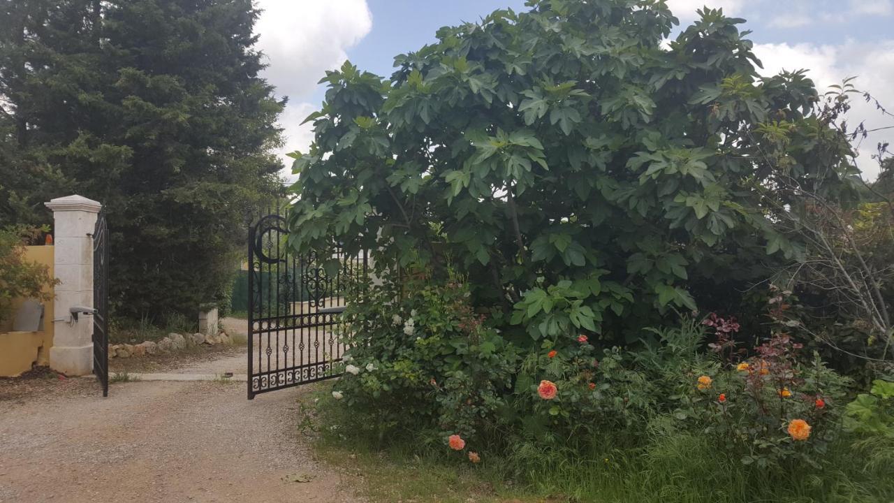 La Villa Provencale Лорг Экстерьер фото